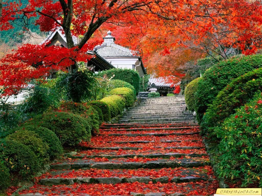 Paysage japonais