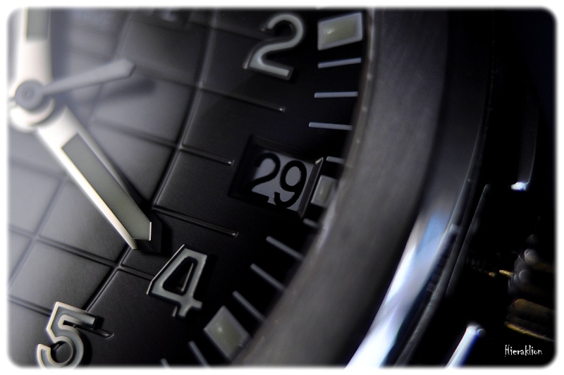 Le guichet de date